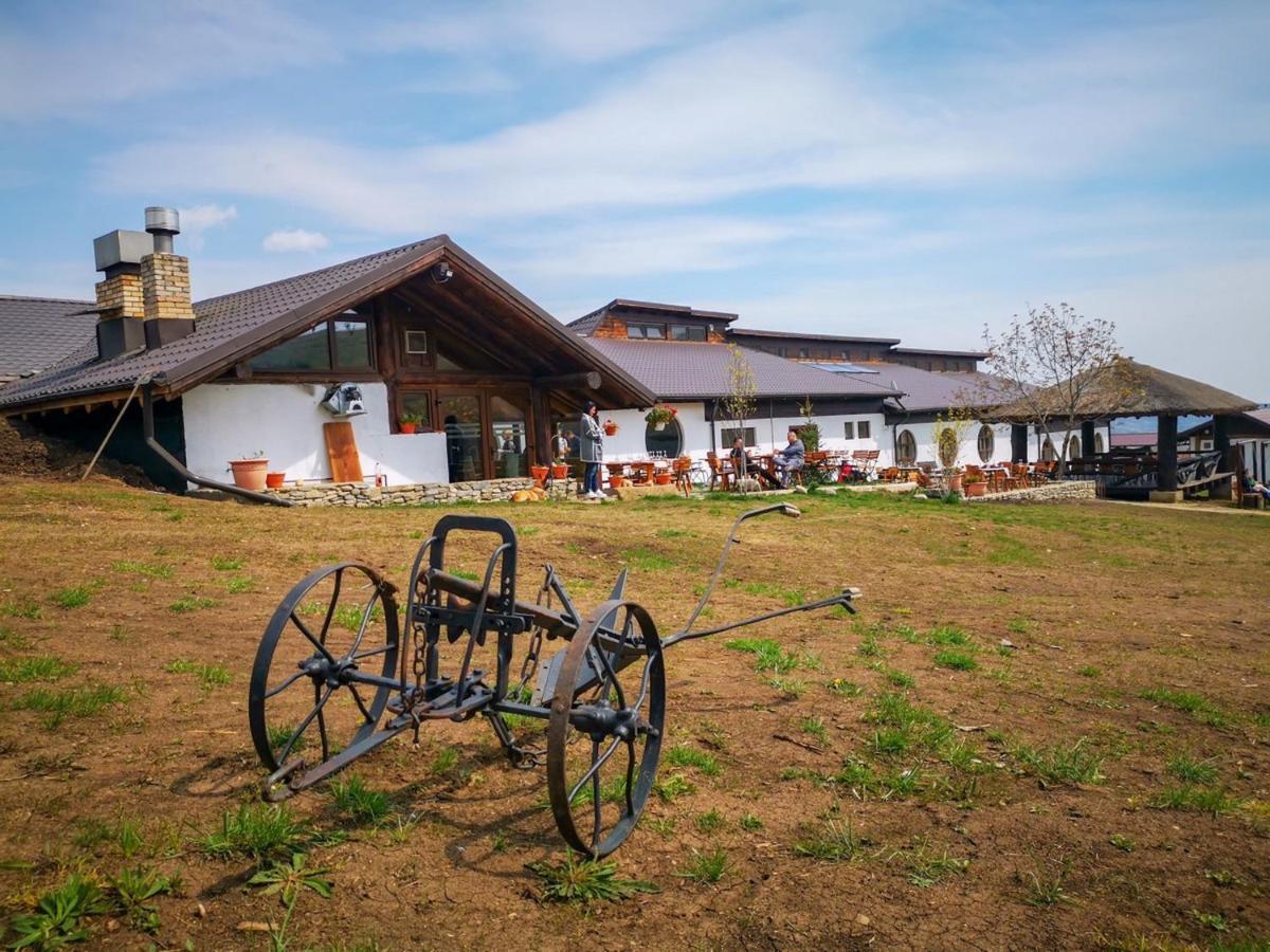 Ferma Dacilor Hotel Tohani Exterior foto