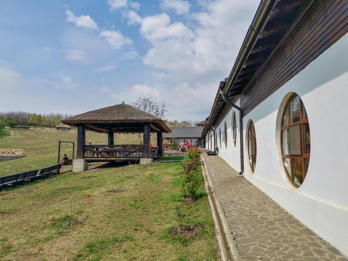 Ferma Dacilor Hotel Tohani Exterior foto
