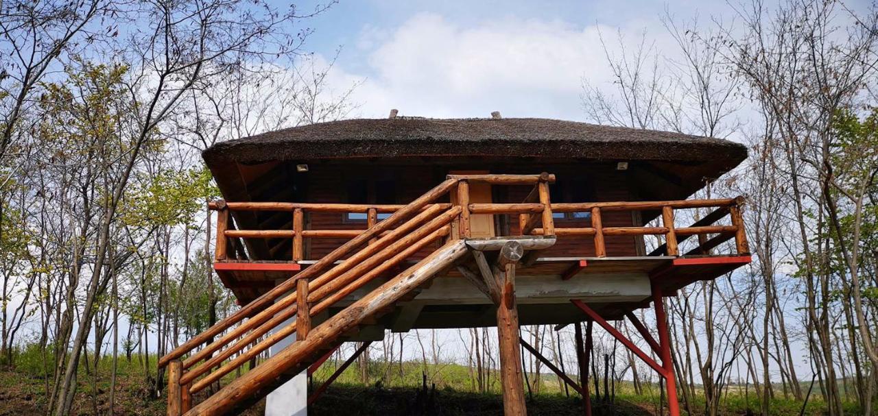 Ferma Dacilor Hotel Tohani Exterior foto